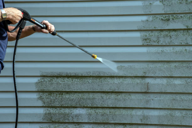 Best Building Exterior Washing  in Holley, FL